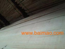 俄羅斯進口無節(jié)樟子松與優(yōu)質(zhì)樺木寬板 家裝建材的理想選擇